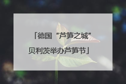德国“芦笋之城”贝利茨举办芦笋节