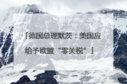 德国总理默茨：美国应给予欧盟“零关税”