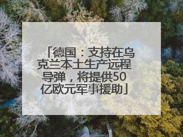 德国：支持在乌克兰本土生产远程导弹，将提供50亿欧元军事援助