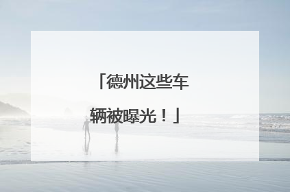 德州这些车辆被曝光！