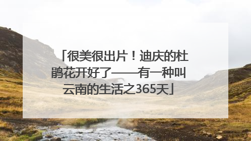 很美很出片！迪庆的杜鹃花开好了——有一种叫云南的生活之365天