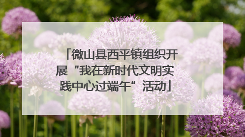 微山县西平镇组织开展“我在新时代文明实践中心过端午”活动