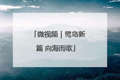 微视频｜鹭岛新篇 向海而歌