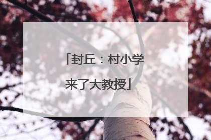 封丘：村小学来了大教授