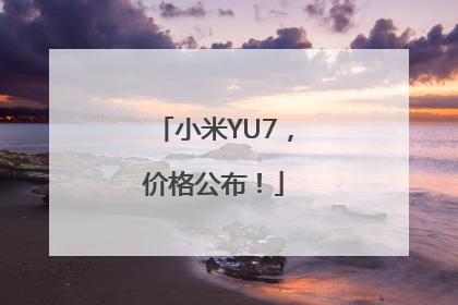 小米YU7，价格公布！