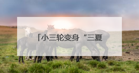小三轮变身“三夏”移动服务站 暖心服务直达田间地头