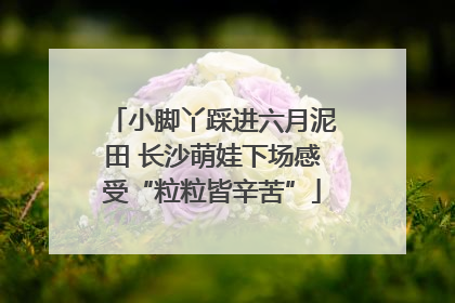 小脚丫踩进六月泥田 长沙萌娃下场感受“粒粒皆辛苦”
