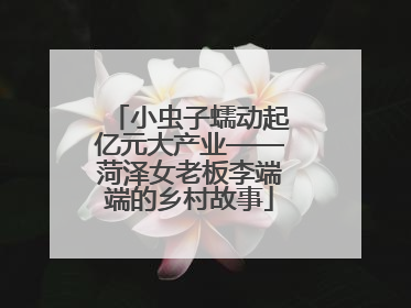 小虫子蠕动起亿元大产业——菏泽女老板李端端的乡村故事