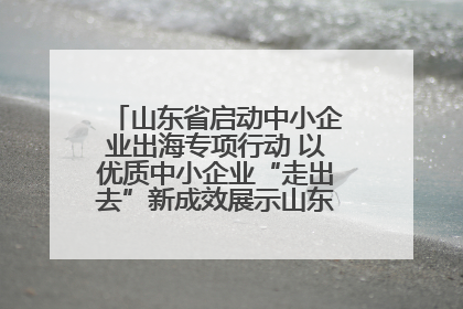 山东省启动中小企业出海专项行动 以优质中小企业“走出去”新成效展示山东产业发展新形象