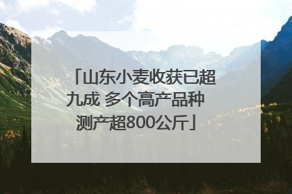山东小麦收获已超九成 多个高产品种测产超800公斤
