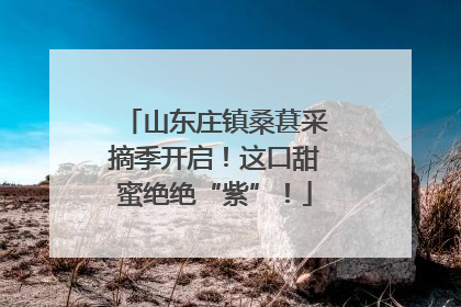 山东庄镇桑葚采摘季开启！这口甜蜜绝绝“紫”！