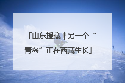 山东援藏｜另一个“青岛”正在西藏生长