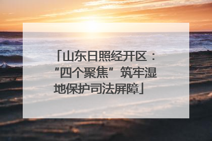 山东日照经开区：“四个聚焦”筑牢湿地保护司法屏障