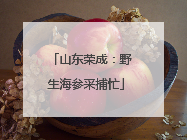 山东荣成：野生海参采捕忙