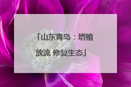 山东青岛：增殖放流 修复生态