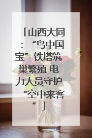 山西大同：“鸟中国宝”铁塔筑巢繁殖 电力人员守护“空中来客”