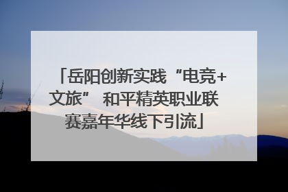 岳阳创新实践“电竞+文旅” 和平精英职业联赛嘉年华线下引流