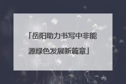 岳阳助力书写中非能源绿色发展新篇章