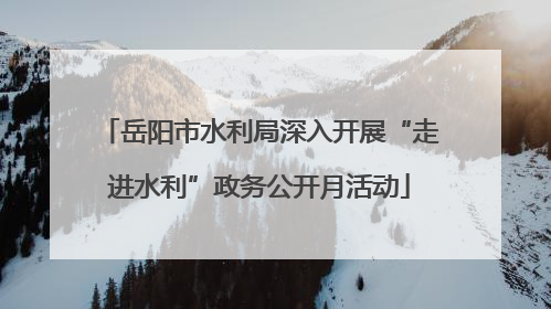 岳阳市水利局深入开展“走进水利”政务公开月活动