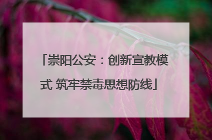 崇阳公安：创新宣教模式 筑牢禁毒思想防线