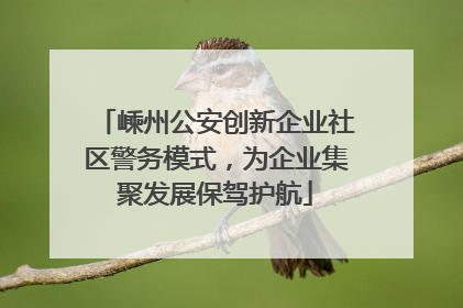 嵊州公安创新企业社区警务模式，为企业集聚发展保驾护航