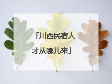 川西民宿人才从哪儿来