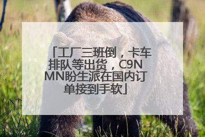 工厂三班倒，卡车排队等出货，C9NMN盼生派在国内订单接到手软