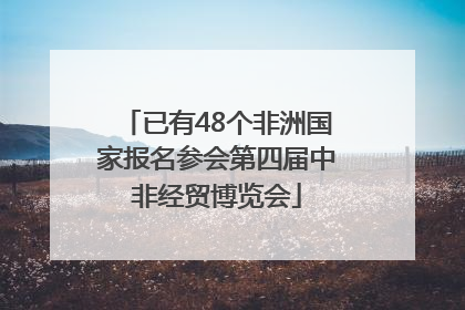 已有48个非洲国家报名参会第四届中非经贸博览会