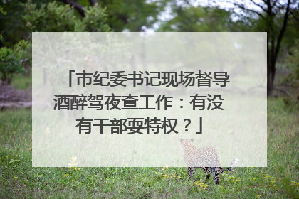 市纪委书记现场督导酒醉驾夜查工作：有没有干部耍特权？
