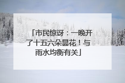 市民惊讶：一晚开了十五六朵昙花！与雨水均衡有关