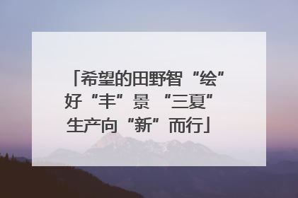 希望的田野智“绘”好“丰”景 “三夏”生产向“新”而行