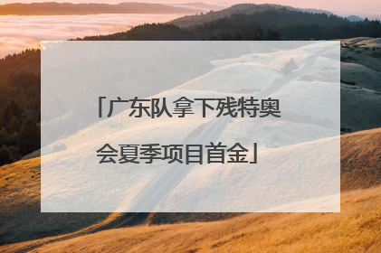 广东队拿下残特奥会夏季项目首金
