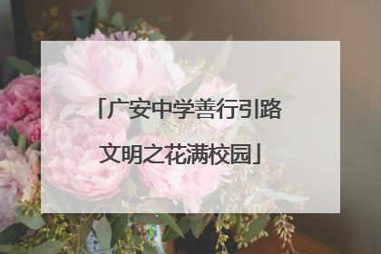广安中学善行引路 文明之花满校园