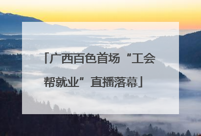 广西百色首场“工会帮就业”直播落幕