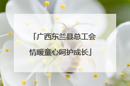 广西东兰县总工会情暖童心呵护成长