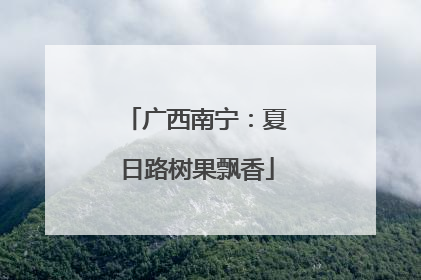 广西南宁：夏日路树果飘香