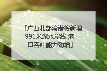 广西北部湾港将新增991米深水岸线 港口吞吐能力劲增