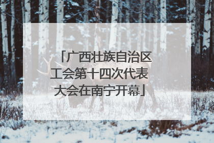 广西壮族自治区工会第十四次代表大会在南宁开幕