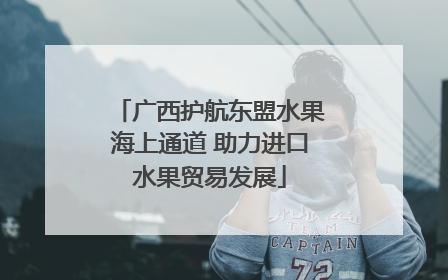 广西护航东盟水果海上通道 助力进口水果贸易发展