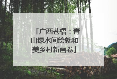 广西苍梧：青山绿水间绘就和美乡村新画卷