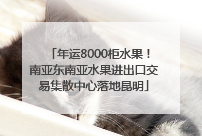 年运8000柜水果！南亚东南亚水果进出口交易集散中心落地昆明