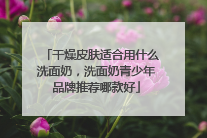 干燥皮肤适合用什么洗面奶，洗面奶青少年品牌推荐哪款好