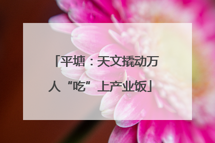 平塘：天文撬动万人“吃”上产业饭