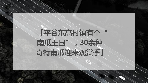 平谷东高村镇有个“南瓜王国”，30余种奇特南瓜迎来观赏季