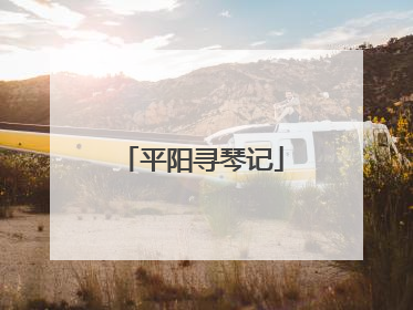 平阳寻琴记