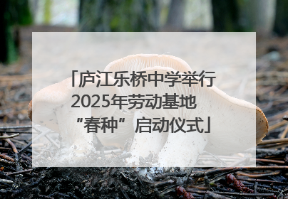 庐江乐桥中学举行2025年劳动基地“春种”启动仪式