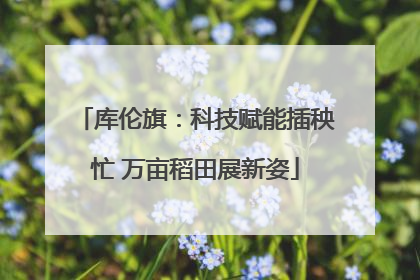 库伦旗：科技赋能插秧忙 万亩稻田展新姿