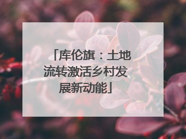 库伦旗：土地流转激活乡村发展新动能