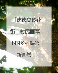 建德高岭花街：村民画笔下的乡村振兴新画卷