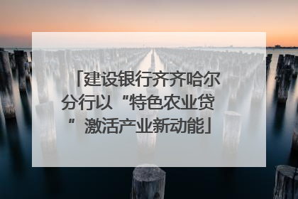 建设银行齐齐哈尔分行以“特色农业贷”激活产业新动能